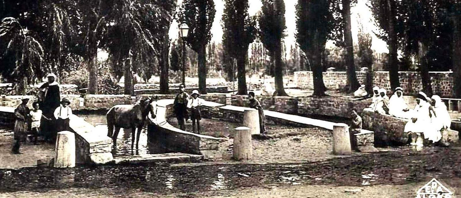 2135- Aflou - Fer a Cheval2 - 1951.jpg